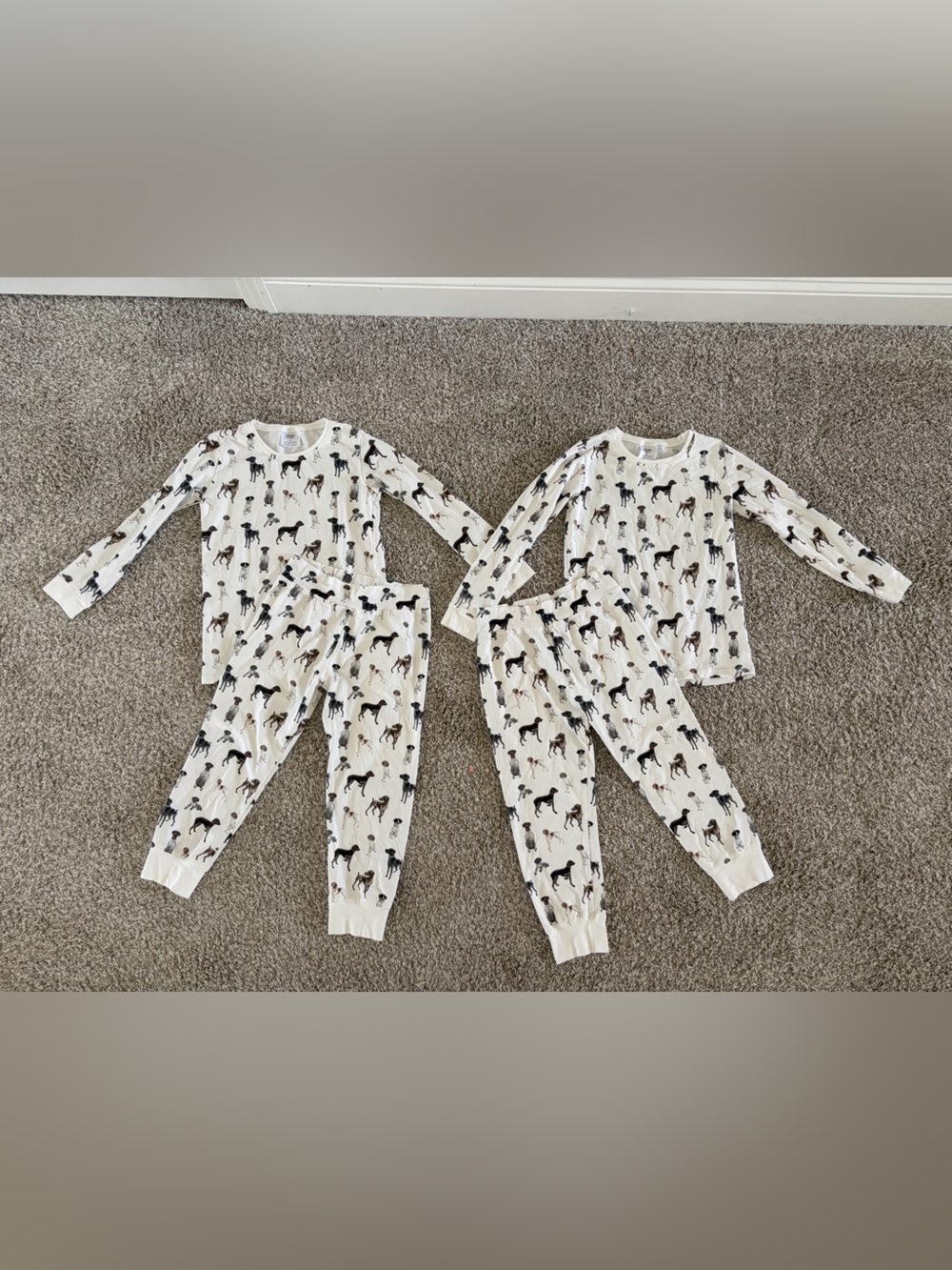 Twins White German Shorthaired Pointer Print Long Sleeve Pajama Set